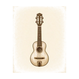 Cavaquinho